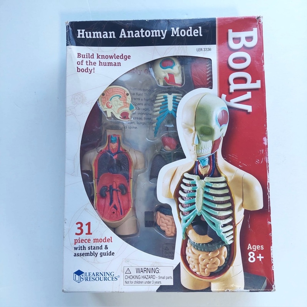 Learning Resources Human Body Model, 31 Pieces - Ages 8+